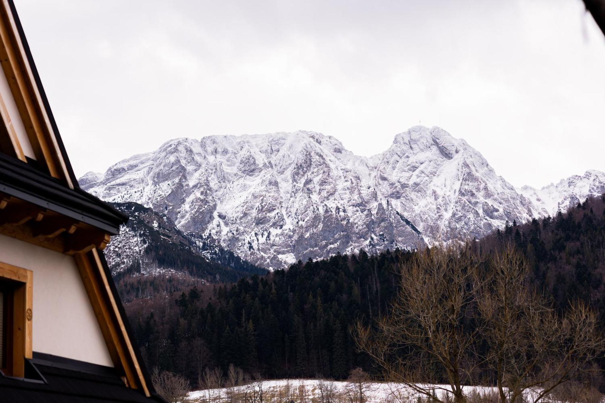Apartment Rodzinny Tatra Giewont View Skibowki 11a By Rentilopl